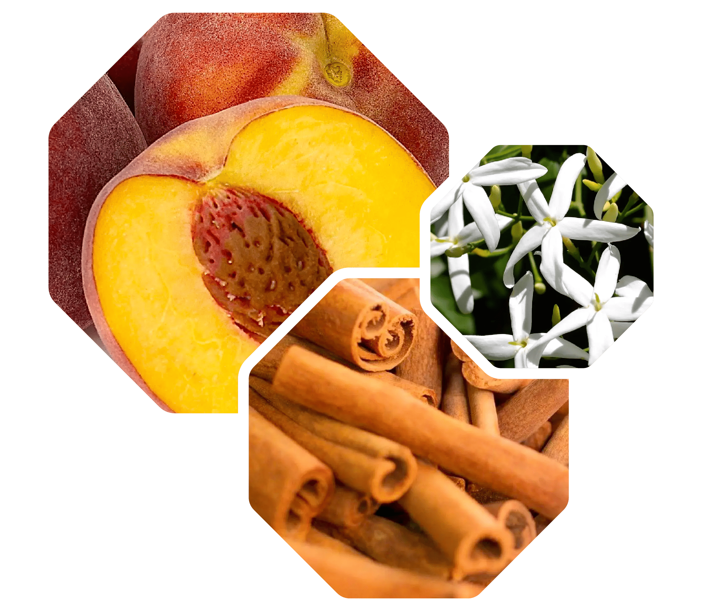 Logevy Macadamia Body Care 500ml