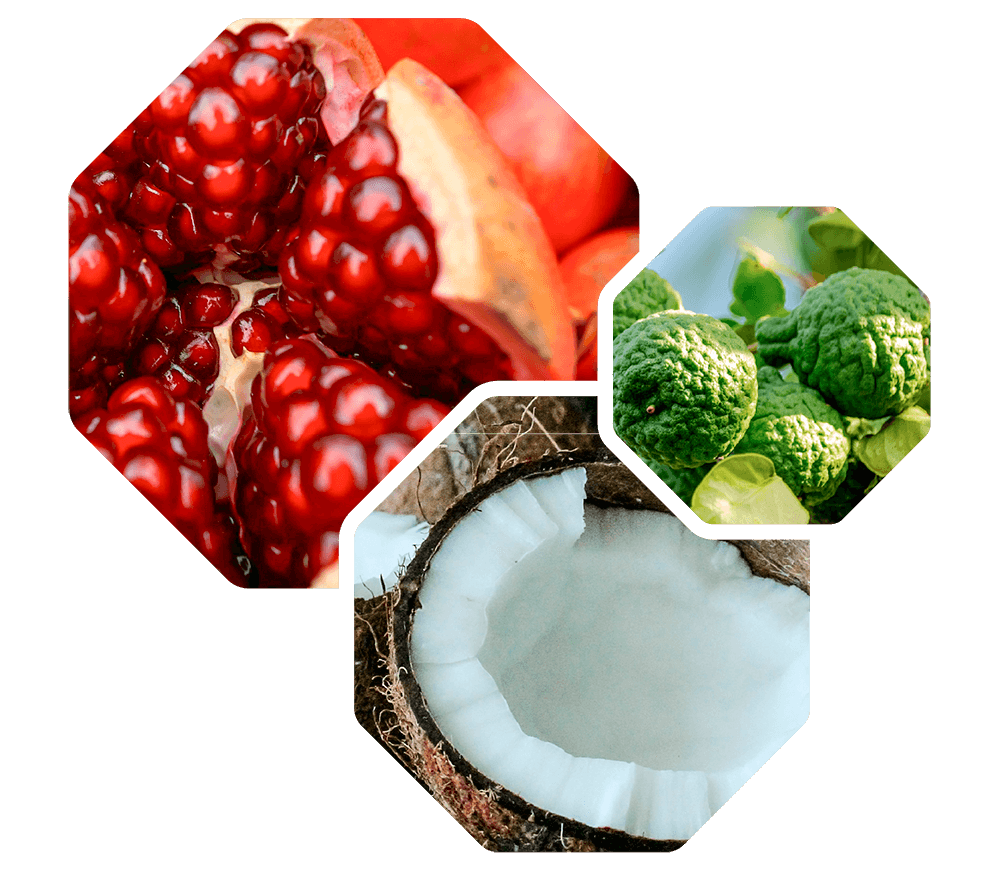 Logevy Melograno Pomegranate Body Care 500ml